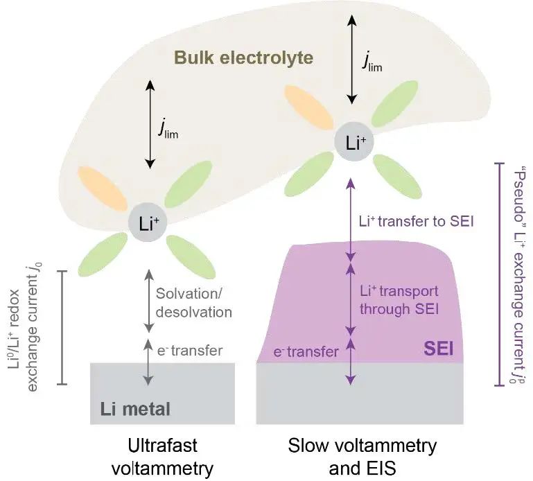 8篇電池頂刊：余彥、王東海、白瑩、吳川、張皝、熊杰、楊成韜、朱慶山、張會剛等成果集錦！