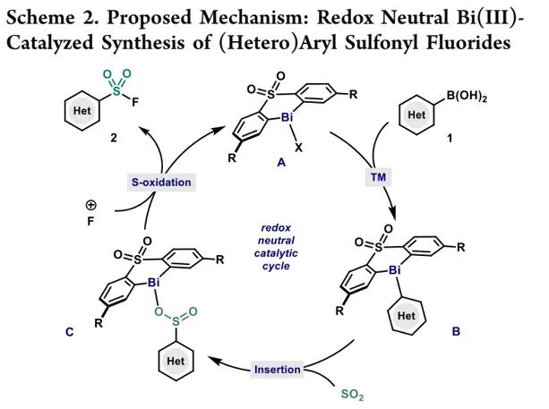JACS：金屬鉍（Bi）解鎖新玩法-揭示有機金屬催化合成芳基氟磺酰化物的基元步驟