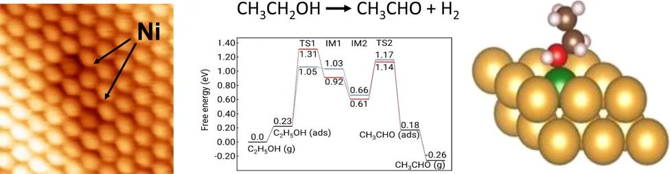 JACS：研究NiAu單原子合金催化乙醇脫氫的機理和電子學