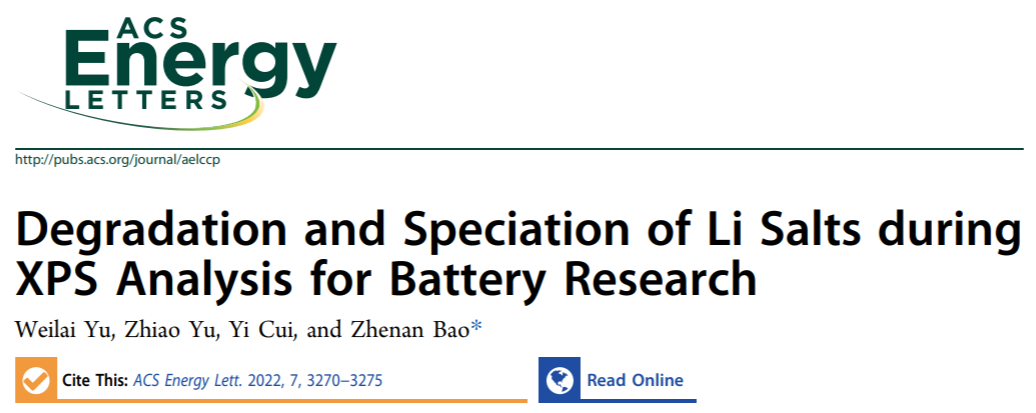 鮑哲南/崔屹等,，最新ACS Energy Letters！