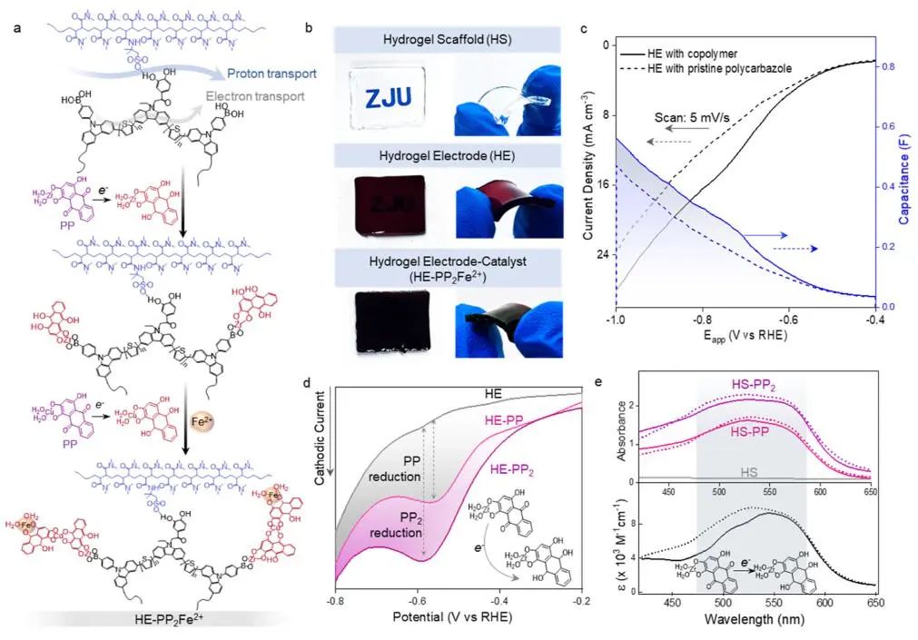 ?浙江大學單冰團隊JACS：近100%選擇性！硝酸鹽電還原制氨
