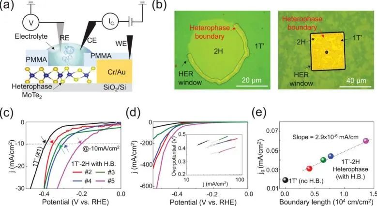 AFM: 異相工程: 1+1>2！MoTe2中的異相邊界具有高HER活性