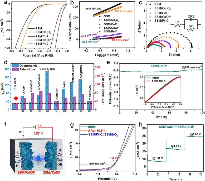 8篇催化頂刊：EES、Small、Adv. Sci.、JMCA、Nano Energy、Chem. Eng. J.等最新成果