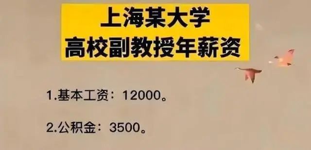 某211高校講師曬工資條，網(wǎng)友：公積金數(shù)額令人矚目...