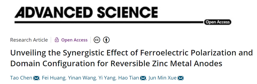 薛軍民/田浩/陳濤Adv. Sci.：鐵電極化+疇結構協同效應實現穩定可逆鋅負極！