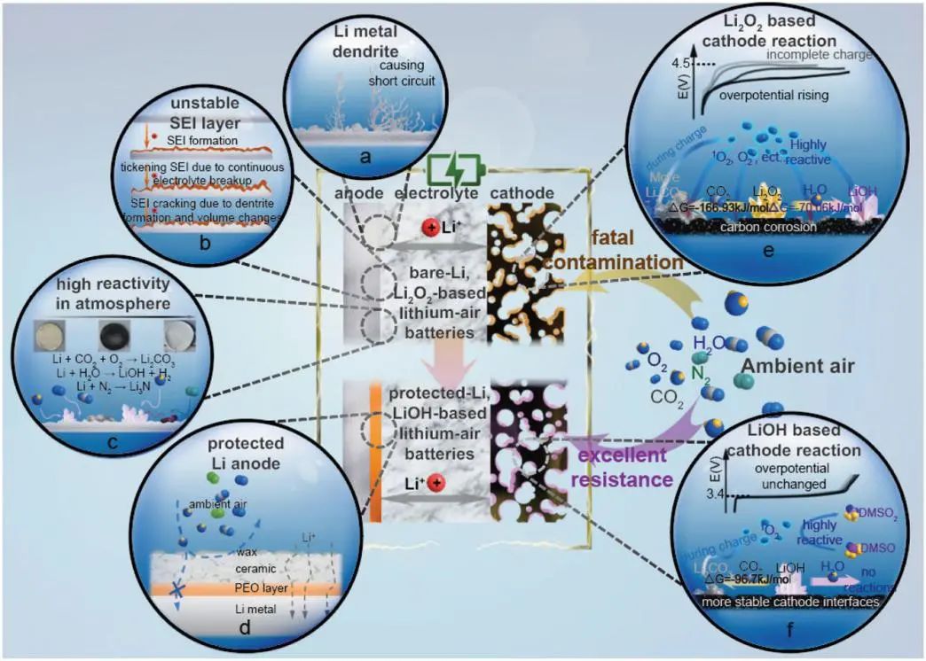 東南&同濟Adv. Sci.: 防水鋰負極+LiOH正極=長壽命高能鋰空氣電池