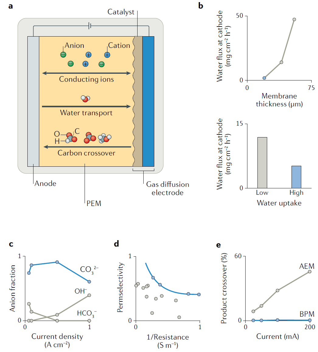 IF超過66，Nature Reviews Materials最新綜述：高效CO2RR電解槽該如何設(shè)計？