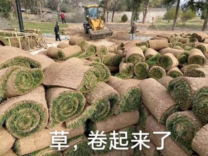 你就是個普通博士，安心去個三四流高校就可以了！杰青不是你努力了就能拿到的...