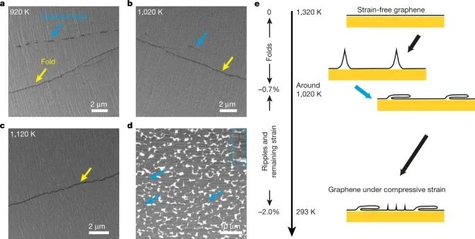 Nature：單晶、大面積、無褶皺單層石墨烯