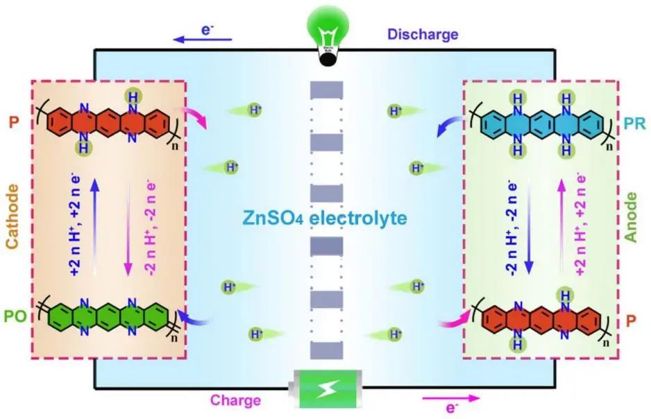 南開牛志強Angew: 基于中性溫和電解液的高性能對稱全有機質子電池
