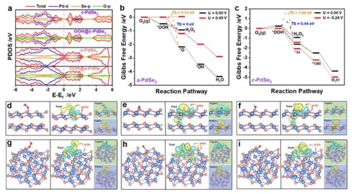 催化頂刊集錦：Nature子刊、Angew.、EES、JACS、AM、ACS Catalysis、Small等成果