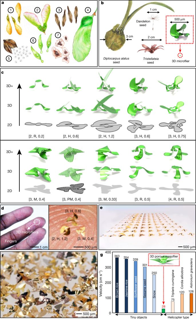 清華大學(xué)，再發(fā)Nature：像風(fēng)一樣自由