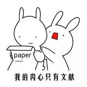 知乎熱議||讀博的壓力究竟有多大？看完，你還會選擇讀博嗎？