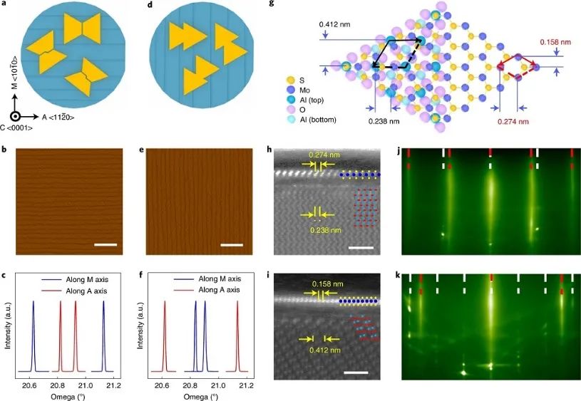 一周連發兩篇Nature Nanotechnology！這個團隊不簡單！