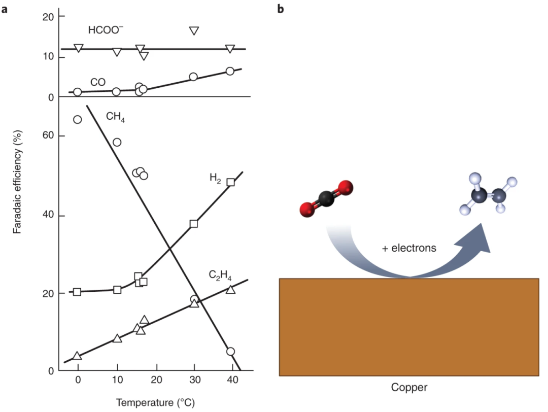 美女科學家Nature Catalysis：銅，我的寶！