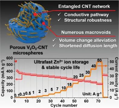 高麗大學Small Methods: 錨定大孔隙碳納米管微球來提高V2O3的電化學性能，用于超快、長壽命的水系鋅離子電池