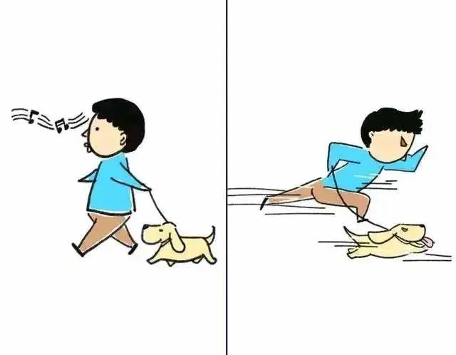 上海交大：博士研究生擅自逗貓，全校通報批評！取消全年評獎評優！