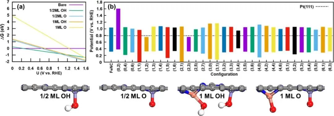 ACS Catalysis：氧還原反應雙金屬位催化劑的機理研究