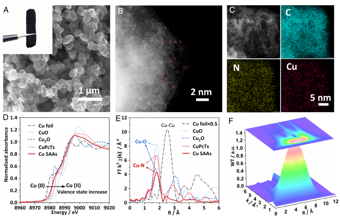 余桂華教授，同日連發(fā)JACS、PNAS！