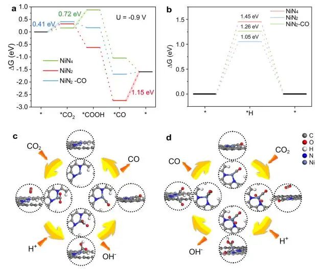 催化頂刊集錦：Nature子刊、JACS、ACS Nano、ACS Energy Lett.、AFM、NML等成果