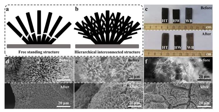 催化頂刊集錦：Nature子刊、JACS、ACS Nano、ACS Energy Lett.、AFM、NML等成果