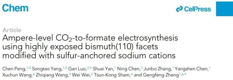 ?復旦/商丘師范Chem：S2?和Na+共修飾高暴露Bi(110)面，實現安培級CO2-甲酸電合成