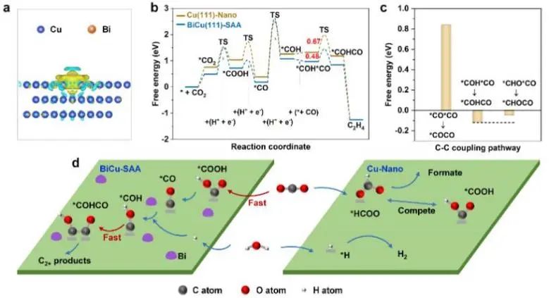 催化頂刊集錦：JACS、Angew.、ACS Catal.、Nano Energy、Nano Lett.等成果