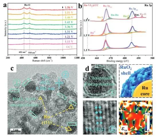 催化頂刊集錦：Nature子刊、EES、AM、EnSM、Carbon Energy、Small等成果
