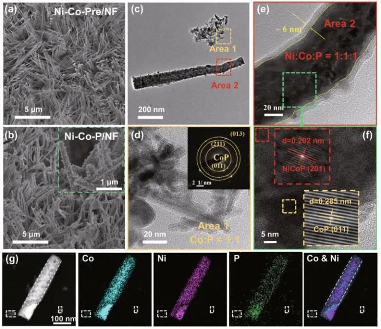 催化頂刊集錦：Nature子刊、Angew.、AEM、ACS Catalysis、Small等成果