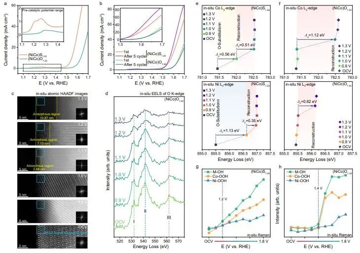 催化頂刊集錦：Nature子刊、Angew.、AEM、ACS Catalysis、Small等成果