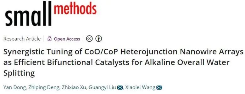 催化頂刊集錦：Nature子刊、Angew.、AEM、ACS Catalysis、Small等成果