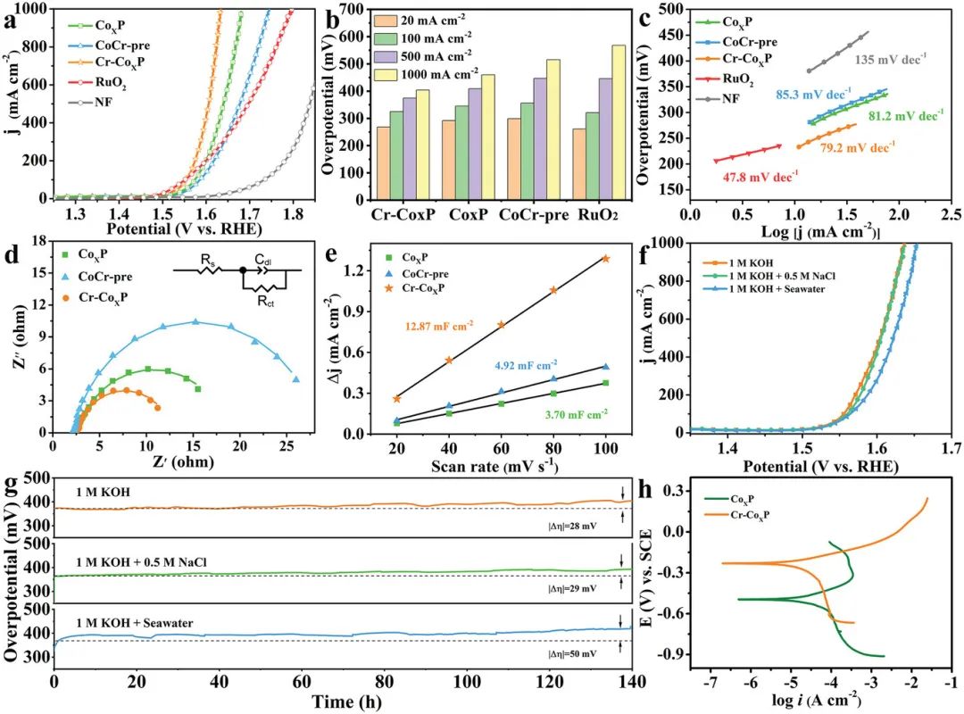 催化頂刊合集：JACS、Angew.、AFM、Small、Appl. Catal. B、JEC等成果