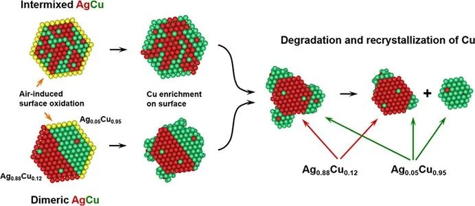楊培東院士，最新JACS！