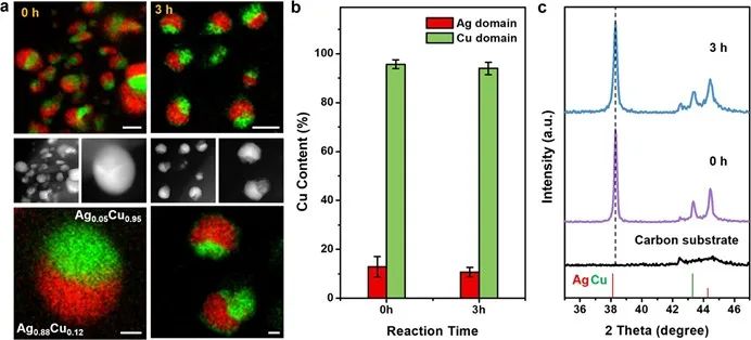 楊培東院士，最新JACS！