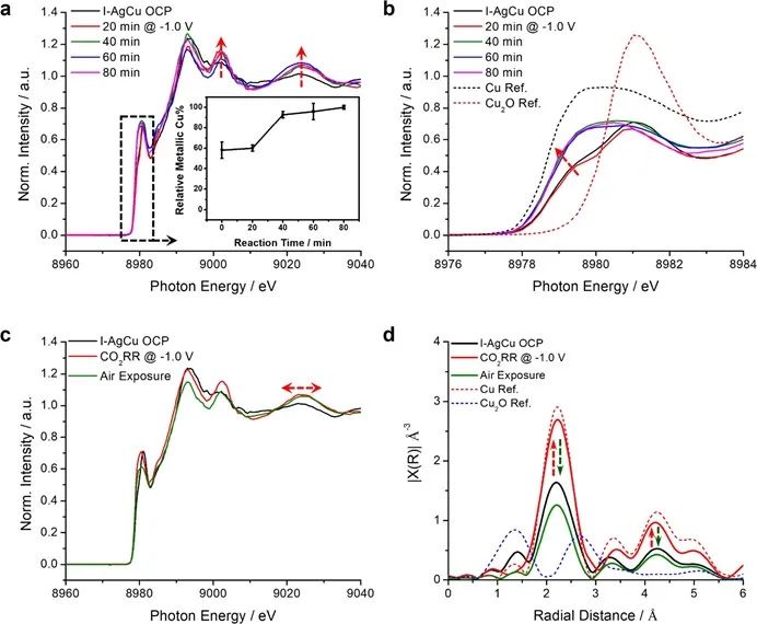 楊培東院士，最新JACS！