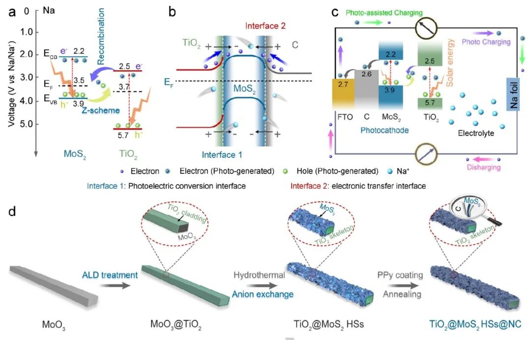 電池頂刊集錦：Nature子刊、AM、AEM、Angew.、AFM、Matter等成果！