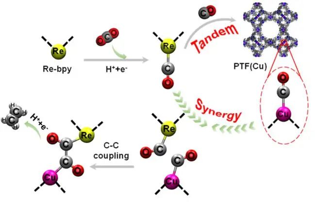 JACS：Re-bpy/PTF(Cu)協同催化CO2制備C2H4