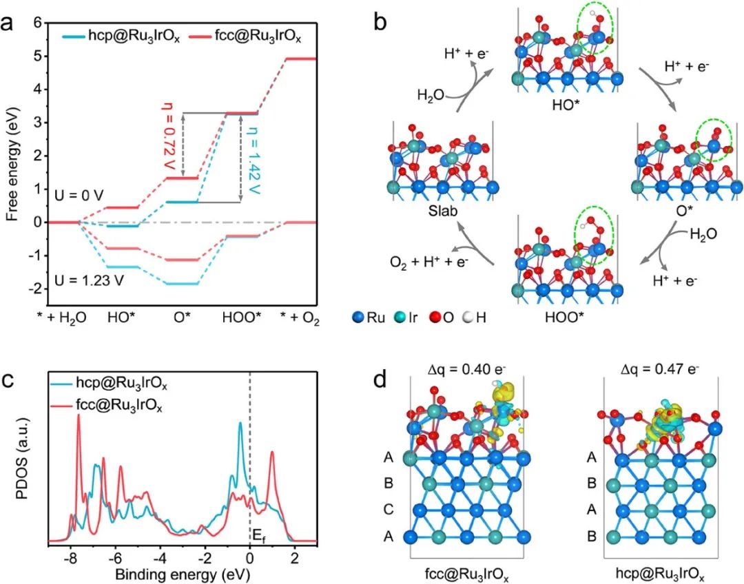 催化頂刊集錦：Nature子刊、JACS、ACS Catalysis、AEM、JMCA等成果！