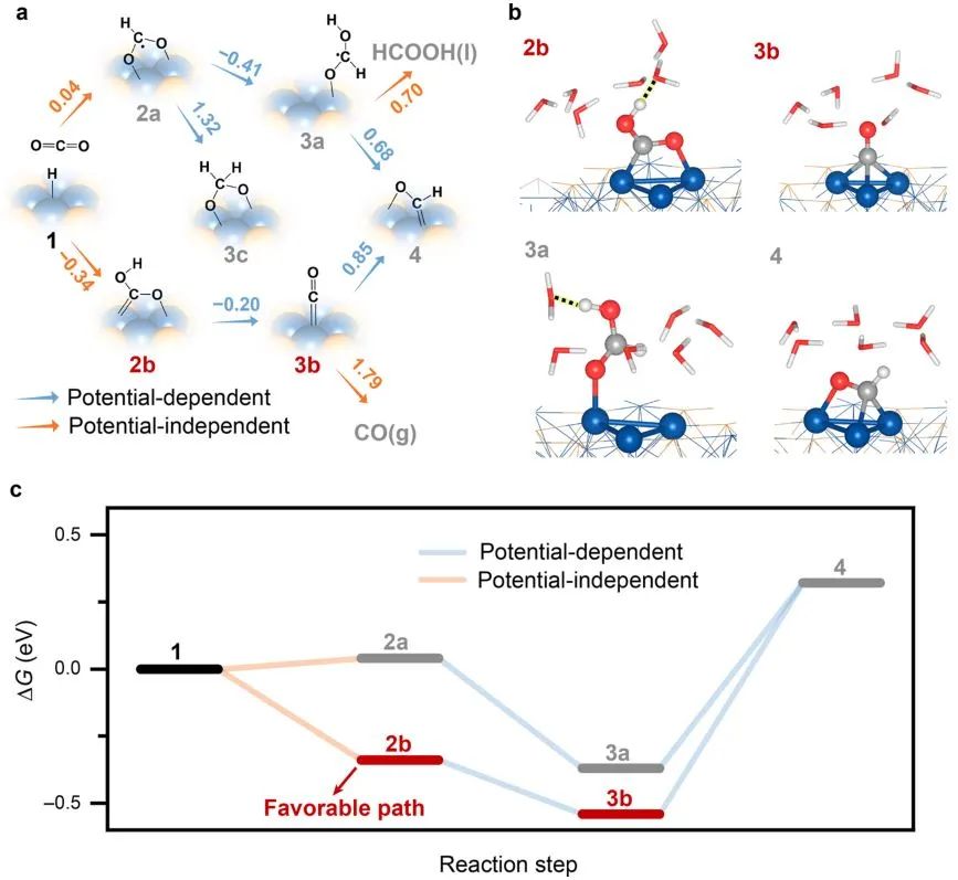 ?北大ACS Catalysis：Ni2P催化劑的多中心協同作用用于增強電化學CO2還原中的C-C偶聯