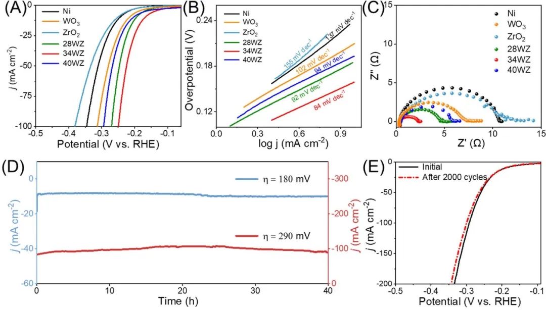催化頂刊集錦：JACS、ACS Catalysis、Small、JMCA、CEJ、Angew、Carbon Energy等成果