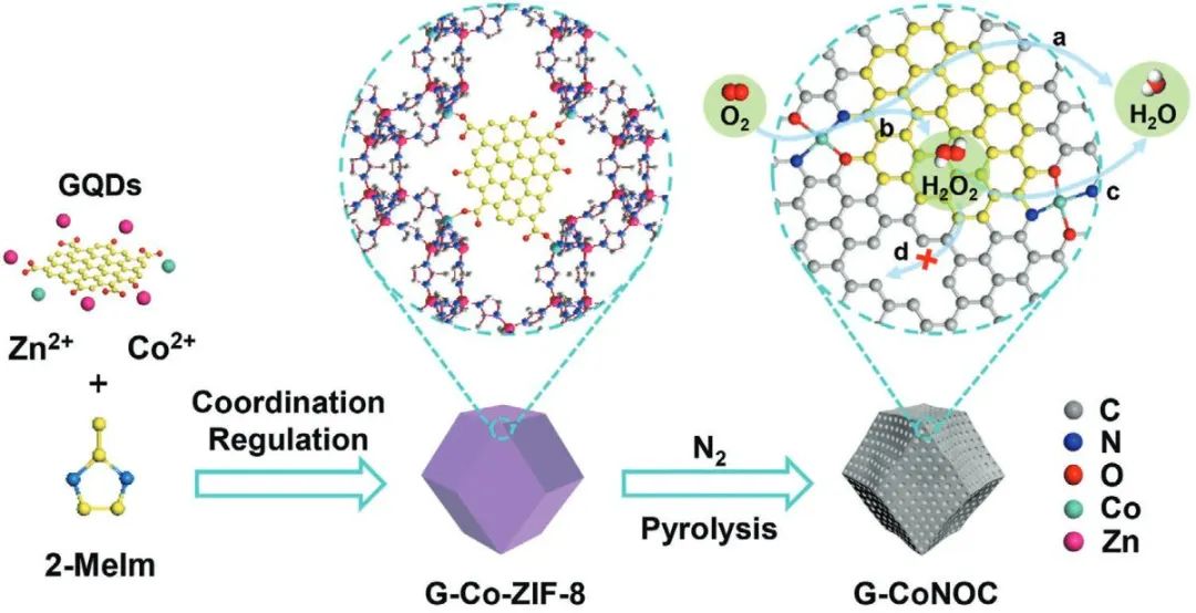 ?計算+實(shí)驗(yàn)頂刊：Nature子刊、AFM、AEM、Small、ACS Catalysis等成果精選！
