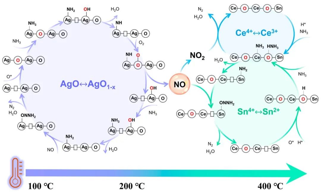 【計算+實驗】頂刊集錦：Angew、AM、AFM、Small、ACS Catalysis等成果精選