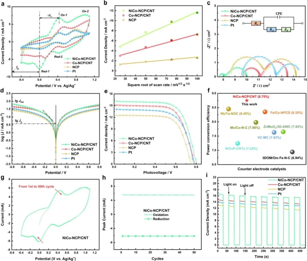 催化頂刊集錦：AFM、JACS、Adv. Sci.、ACS Nano、JMCA、CEJ等成果