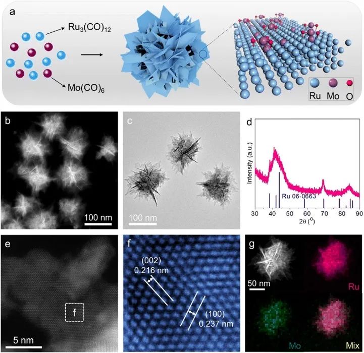 6篇Nature/Science子刊、4篇AM、3篇EES、3篇AFM等，黃小青團隊2022年成果精選！