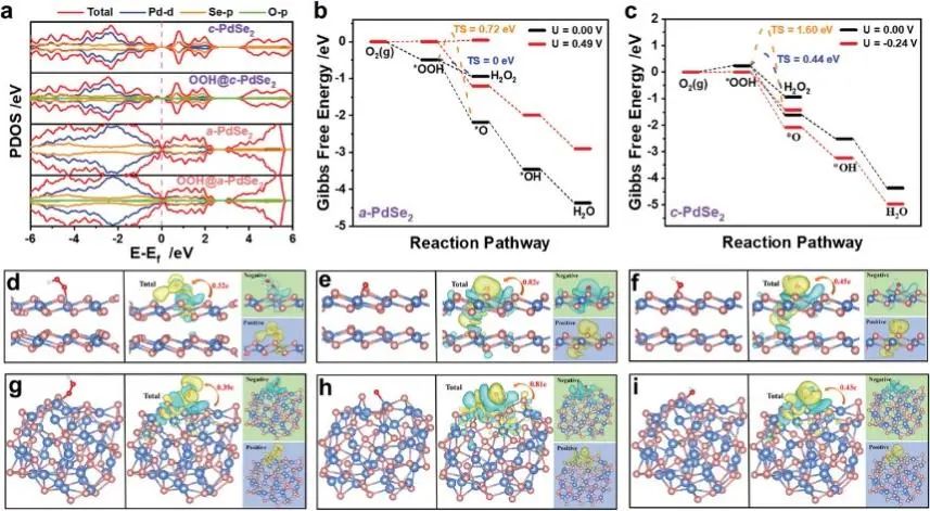 6篇Nature/Science子刊、4篇AM、3篇EES、3篇AFM等，黃小青團隊2022年成果精選！
