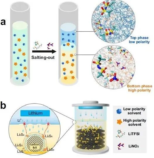 蘇大晏成林團隊，最新Nature子刊！