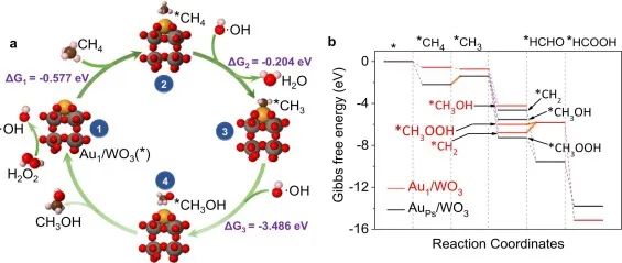 8篇催化頂刊：JACS、ACS Catal.、Nano Energy、JMCA、Chem. Eng. J.等成果