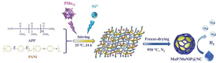 長春理工蘇忠民/李曉Chem. Eng. J.：新磷源！聚磷酸銨誘導(dǎo)的MoP/MoNiP@NC用于高效電催化HER