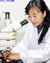 相隔不到一月，吉林大學再發Nature！
