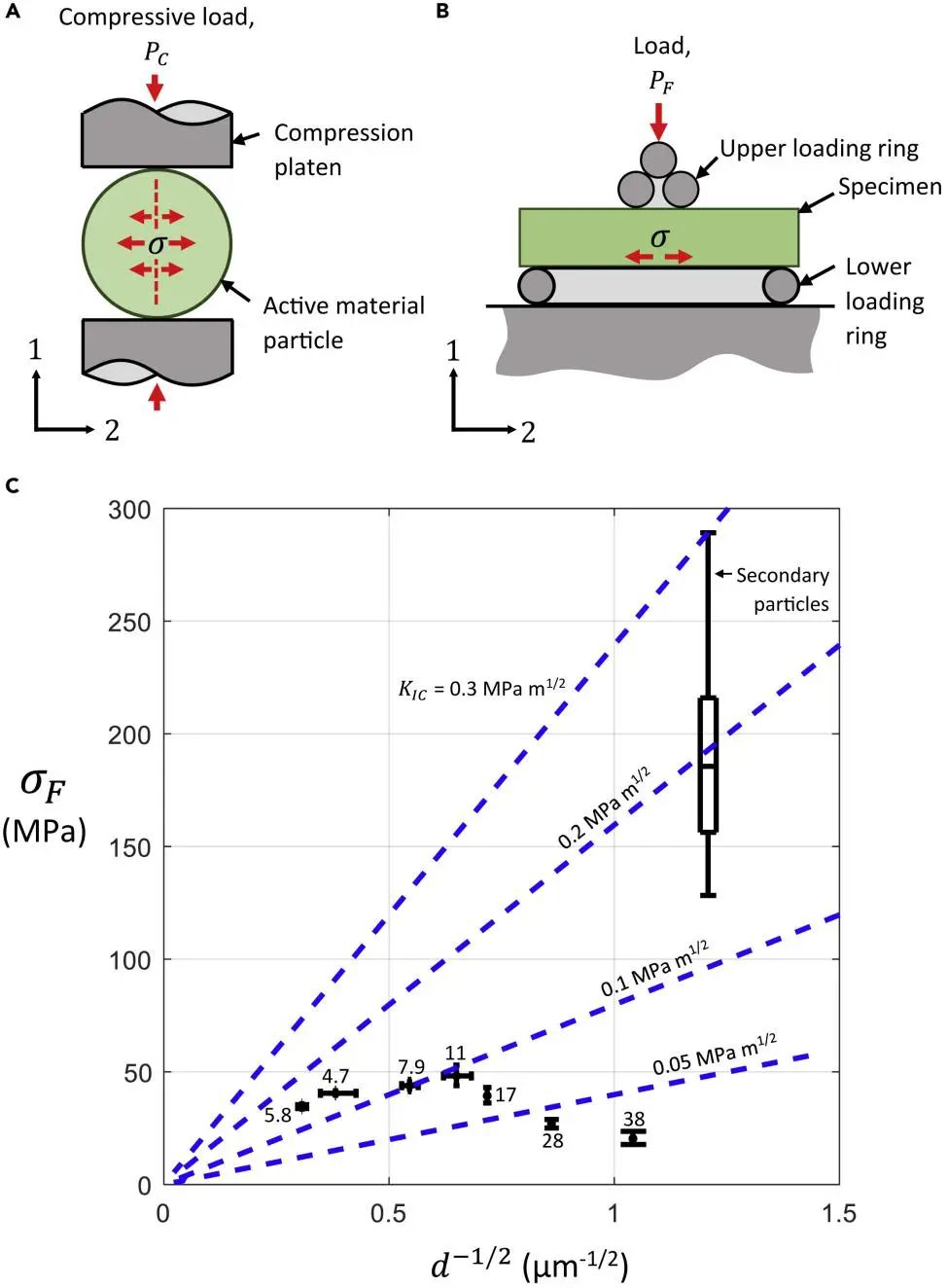 劍橋Norman Fleck教授Joule: 鋰離子電池正極材料的力學性能研究